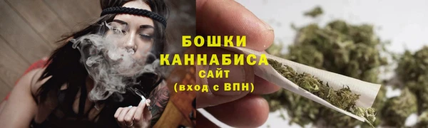 ешки Гусь-Хрустальный