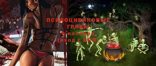альфа пвп Гусев