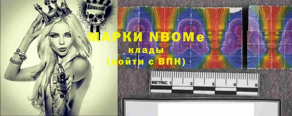 альфа пвп Гусев