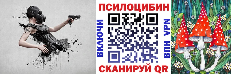 Галлюциногенные грибы MAGIC MUSHROOMS  закладка  мега как войти  Куртамыш 